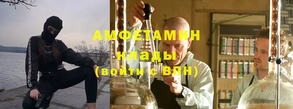 индика Козельск