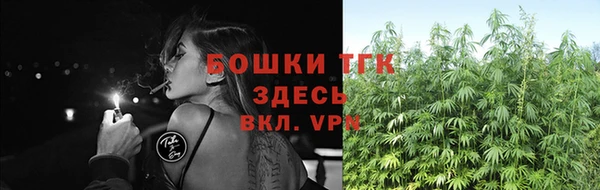 винт Костерёво