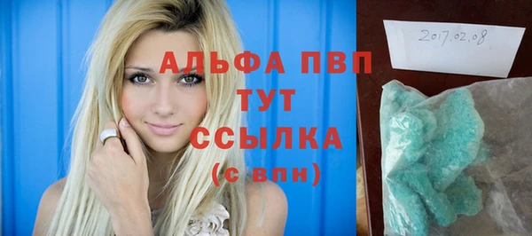 молекула духа Козловка