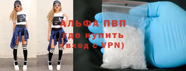 молекула духа Козловка