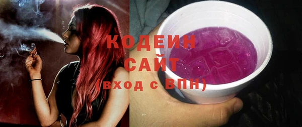 молекула духа Козловка