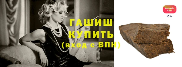 индика Козельск