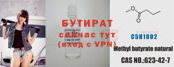 индика Козельск