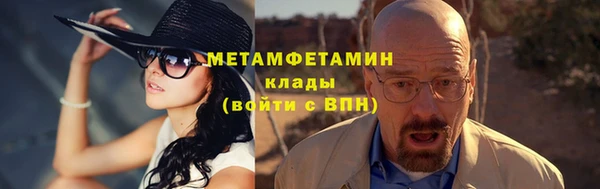 индика Козельск