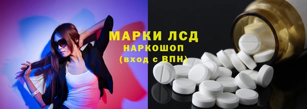 индика Козельск