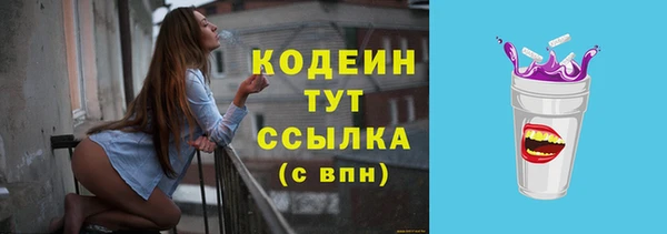индика Козельск