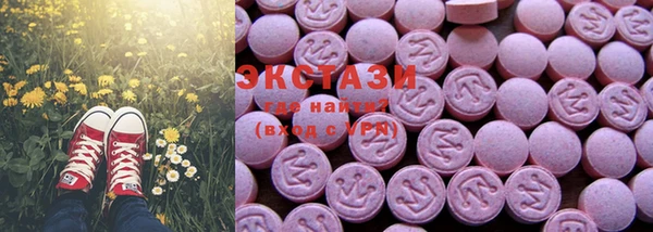 индика Козельск