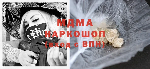 индика Козельск