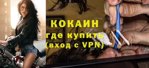 индика Козельск