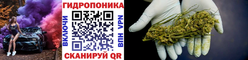 Марихуана конопля Красный Сулин